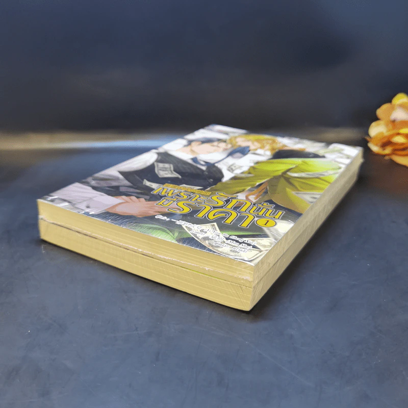 นิยายวาย เพราะรักนั้นมีราคา เล่ม 1-2 - Shua Huai Bu Cheng Fan Bei Ya รูปที่ 7