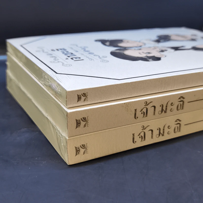 นิยายวาย เจ้ามะลิ 2 เล่มจบ + เจ้ามะลิ Special Mpreg - เหนือน่านฟ้า รูปที่ 9