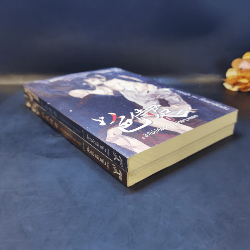 นิยายวาย ข้าไม่ปล่อยเจ้าไปง่ายๆหรอก เล่ม 1 - ลั่วซย่าเฟิงเติง รูปที่ 8