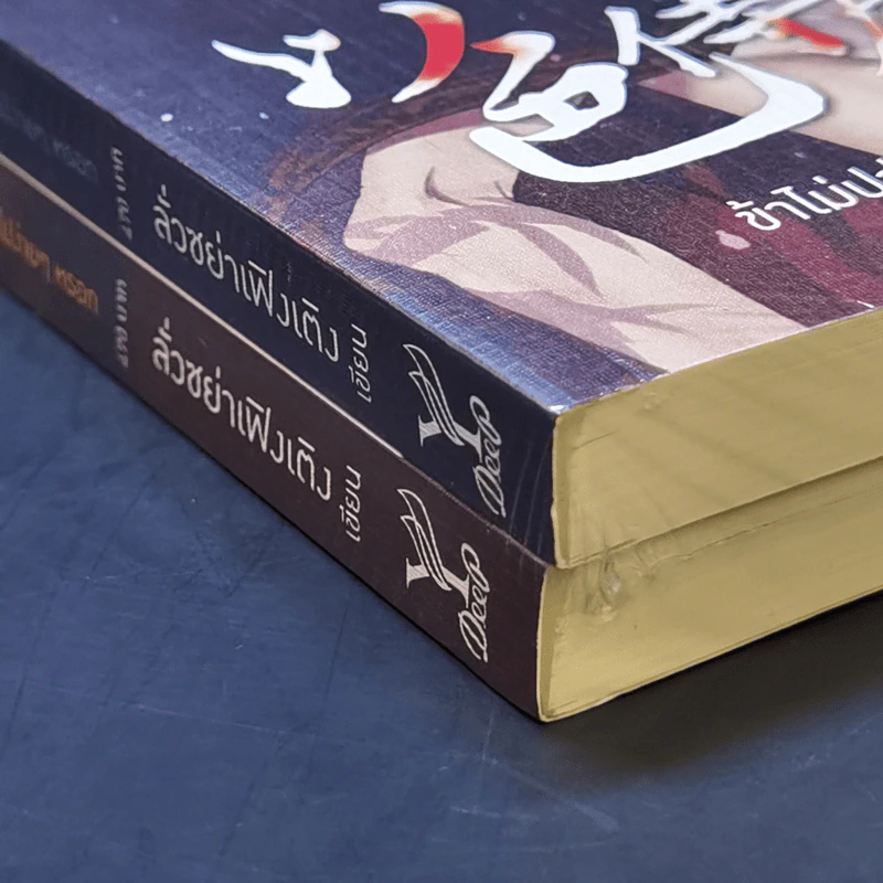 นิยายวาย ข้าไม่ปล่อยเจ้าไปง่ายๆหรอก เล่ม 1 - ลั่วซย่าเฟิงเติง รูปที่ 9