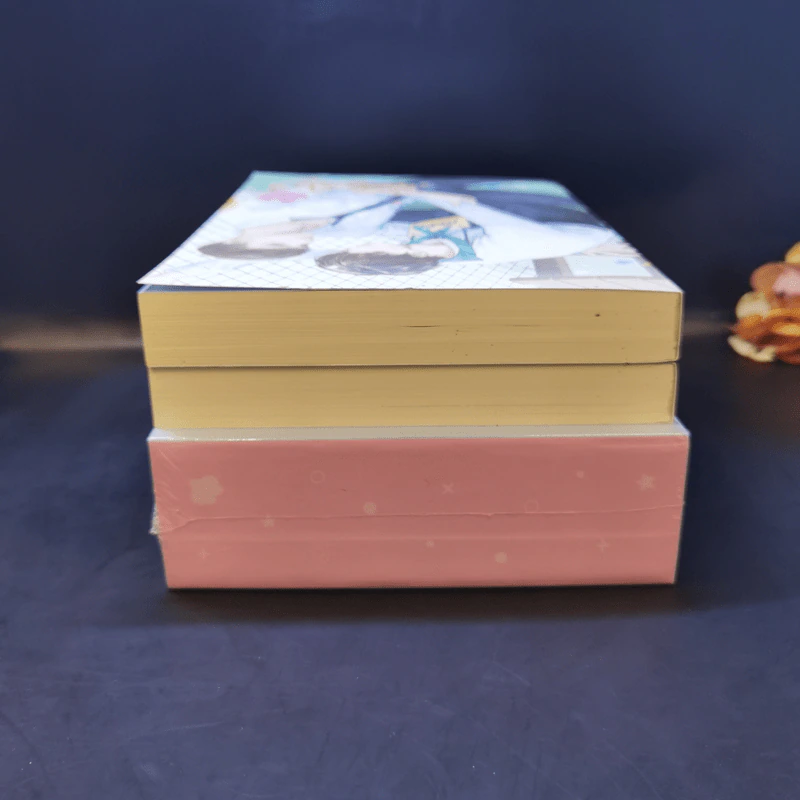 นิยายวาย Boxset Freshy! รุ่นพี่ครับ แต่งงานกับผมเถอะ 2 เล่มจบ - WRA* รูปที่ 6