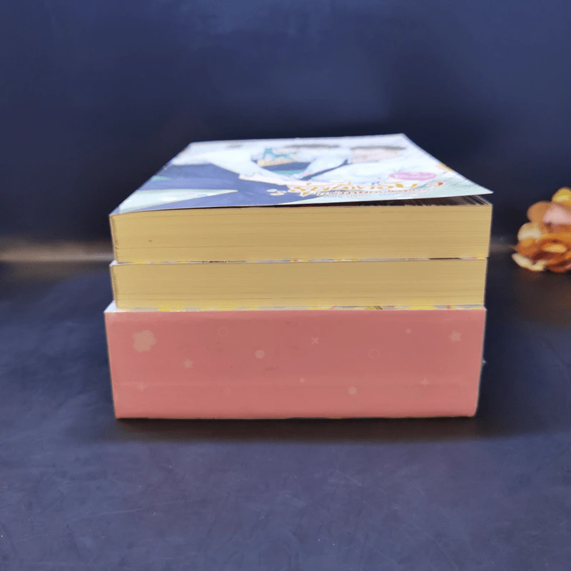 นิยายวาย Boxset Freshy! รุ่นพี่ครับ แต่งงานกับผมเถอะ 2 เล่มจบ - WRA* รูปที่ 4