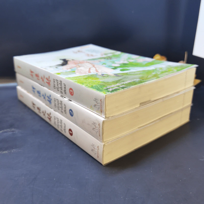 นิยายแจ่มใส นิยายเรื่องนี้ข้าไม่ได้เขียน เล่ม 1-3 - ฉางโกวลั่วเยวี่ย รูปที่ 9