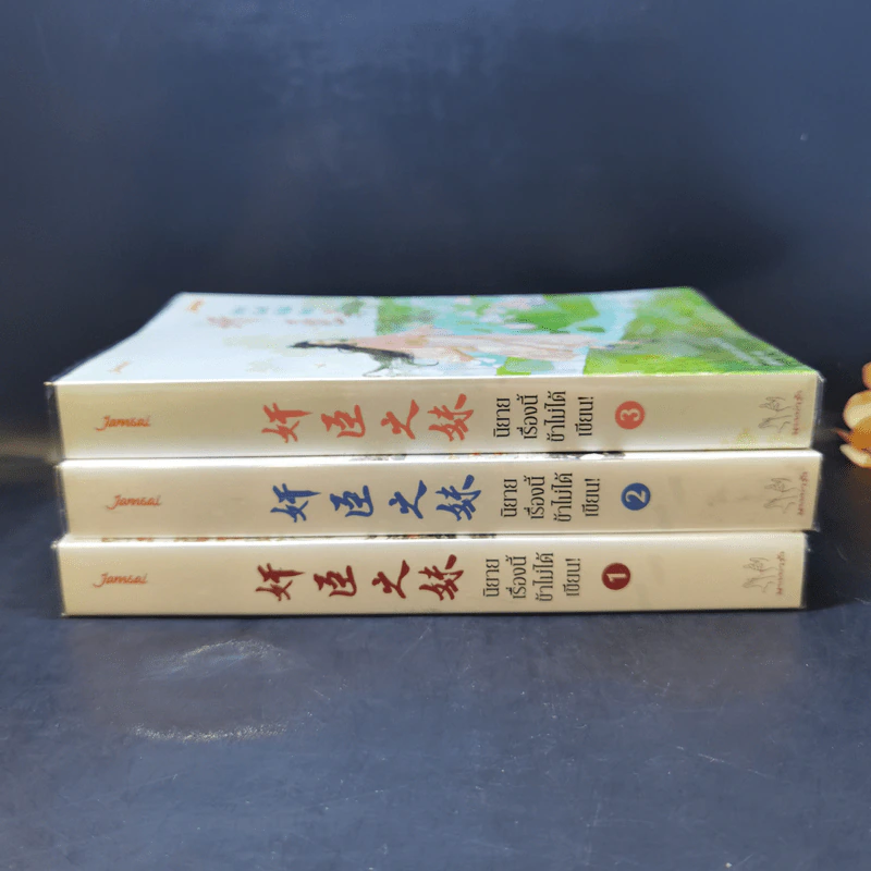 นิยายแจ่มใส นิยายเรื่องนี้ข้าไม่ได้เขียน เล่ม 1-3 - ฉางโกวลั่วเยวี่ย รูปที่ 4
