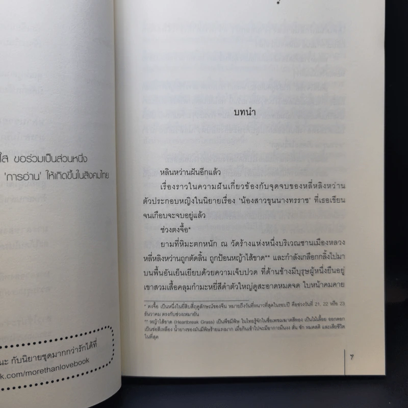 นิยายแจ่มใส นิยายเรื่องนี้ข้าไม่ได้เขียน เล่ม 1-3 - ฉางโกวลั่วเยวี่ย รูปที่ 12