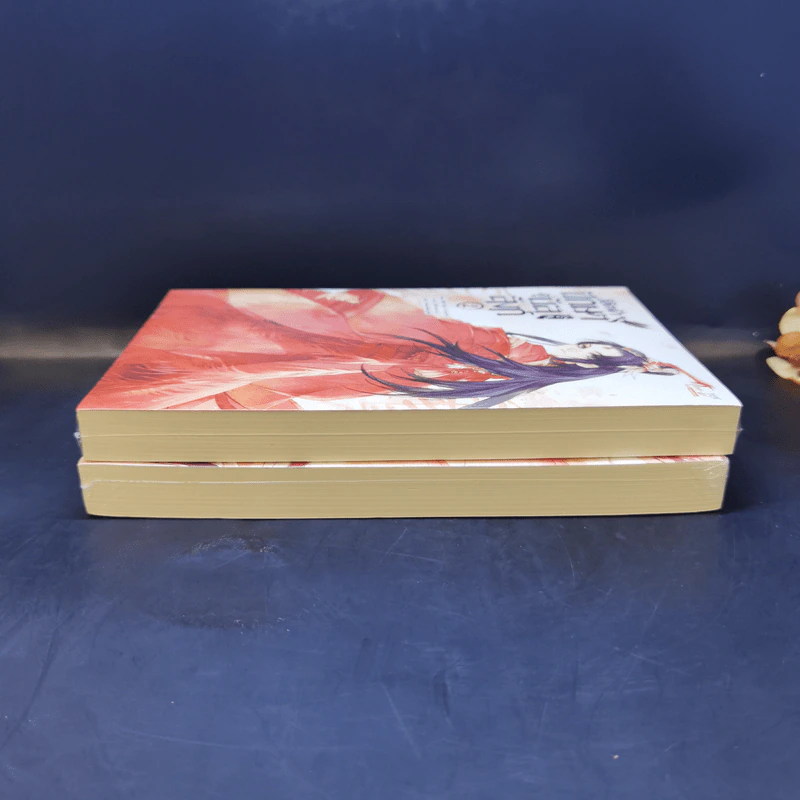 นิยายวาย ลิขิตฟ้า ปักษาคู่บัลลังก์ เล่ม 1-2 - Lv Ye Qian He รูปที่ 6