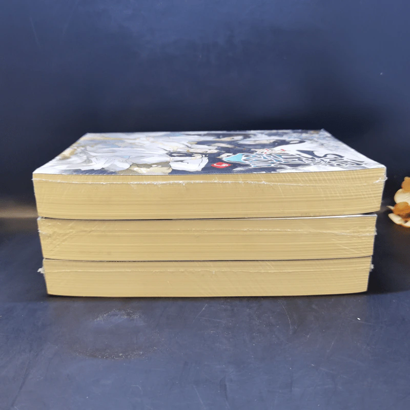 นิยายวาย ราชันคืนบัลลังก์ เล่ม 1-3 - Arise Zhang รูปที่ 6