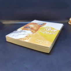 นิยายวาย Red Fox น้องจะตอบแทนพี่เอง - พาพา รูปที่ 7