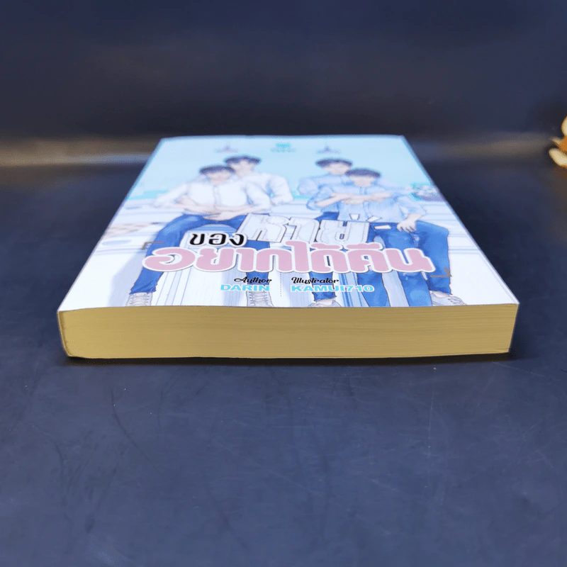 นิยายวาย ของหายอยากได้คืน - Darin รูปที่ 4