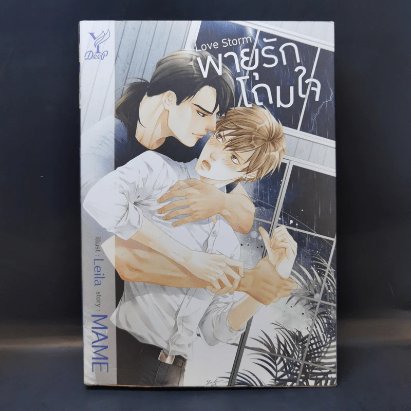 นิยายวาย พายุรักโถมใจ Love Storm - Mame รูปที่ 1