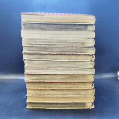 ยอดนักสืบจิ๋วโคนัน ภาคพิเศษ เล่ม 1-13 รูปที่ 5