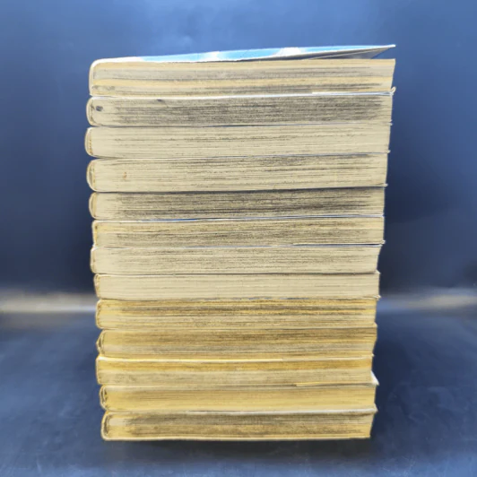 ยอดนักสืบจิ๋วโคนัน ภาคพิเศษ เล่ม 1-13 รูปที่ 3