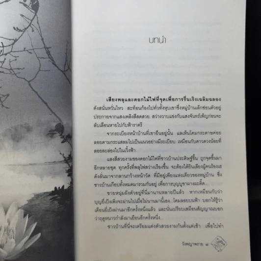 วังพญาพราย - พงศกร รูปที่ 10