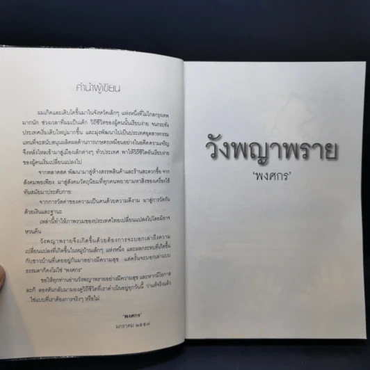 วังพญาพราย - พงศกร รูปที่ 9