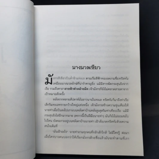 ท็อดฮันเตอร์ มูน 3 เล่มจบ + เล่มพิเศษ คางคกมืด - Angie Sage (แองจี เสจ) รูปที่ 17