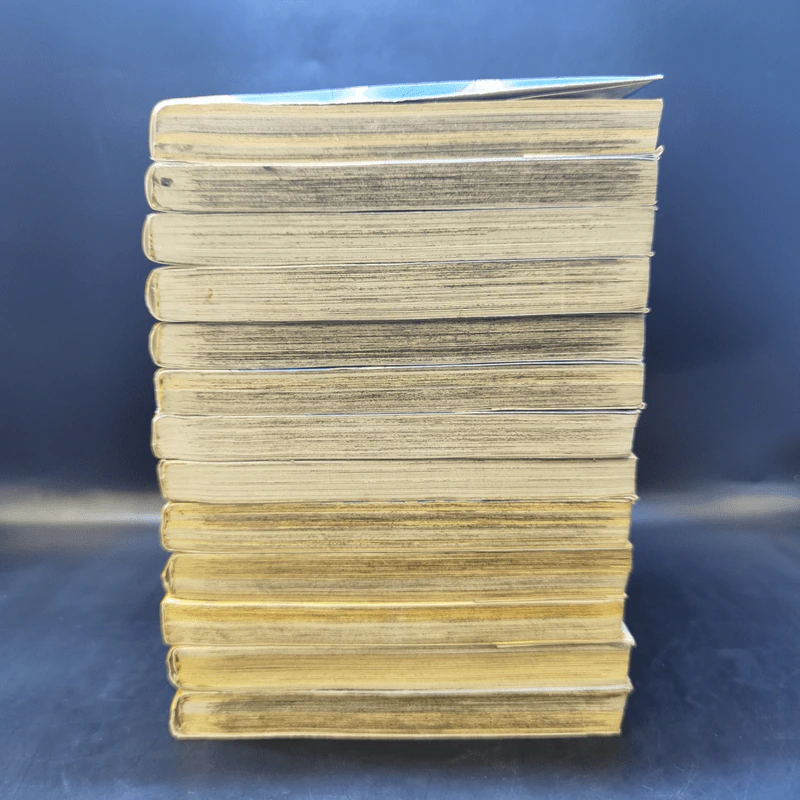 ยอดนักสืบจิ๋วโคนัน ภาคพิเศษ เล่ม 1-13 รูปที่ 3
