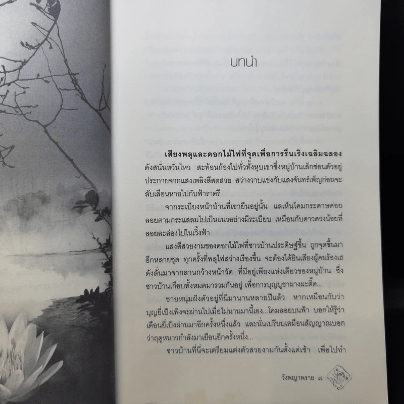 วังพญาพราย - พงศกร รูปที่ 10