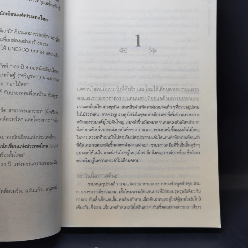 เหลื่อมไหม ลายเหมย - ประภัสสร เสวิกุล รูปที่ 9