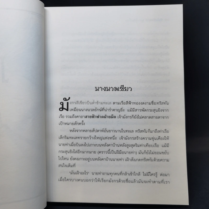 ท็อดฮันเตอร์ มูน 3 เล่มจบ + เล่มพิเศษ คางคกมืด - Angie Sage (แองจี เสจ) รูปที่ 17