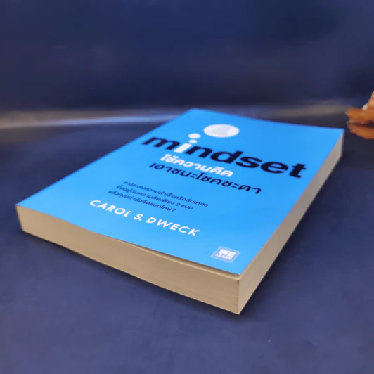 ใช้ความคิดเอาชนะโชคชะตา : Mindset - Carol S. Dweck (แครอล เอส ดเว็ค), Ph.D. รูปที่ 7