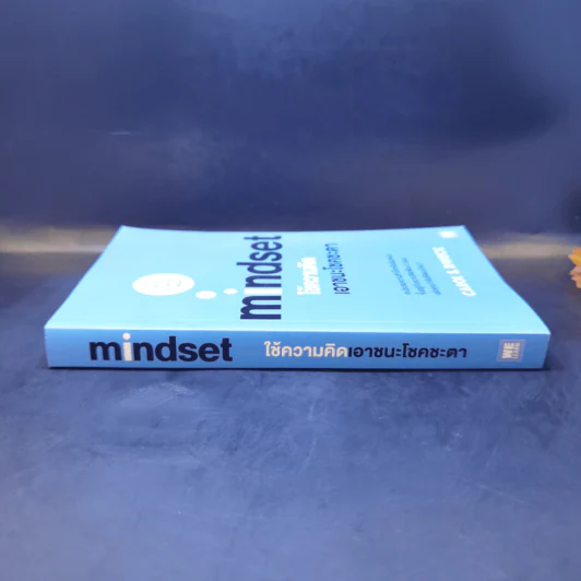 ใช้ความคิดเอาชนะโชคชะตา : Mindset - Carol S. Dweck (แครอล เอส ดเว็ค), Ph.D. รูปที่ 3