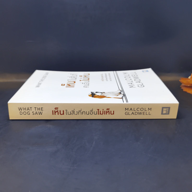 เห็นในสิ่งที่คนอื่นไม่เห็น - Malcolm Gladwell รูปที่ 3