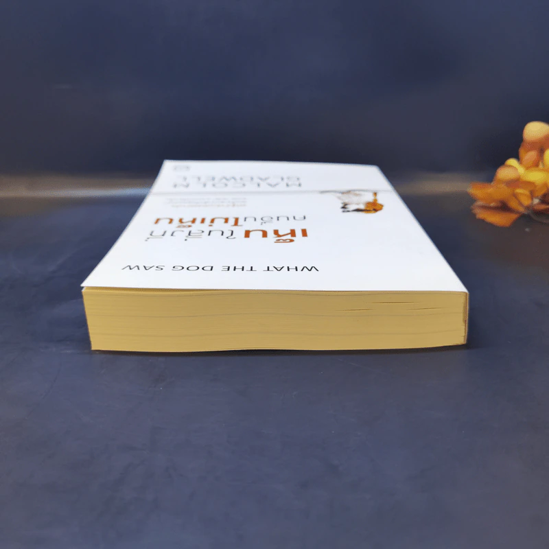 เห็นในสิ่งที่คนอื่นไม่เห็น - Malcolm Gladwell รูปที่ 6