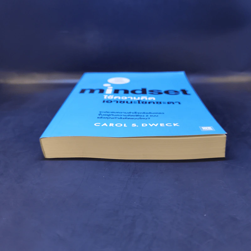 ใช้ความคิดเอาชนะโชคชะตา : Mindset - Carol S. Dweck (แครอล เอส ดเว็ค), Ph.D. รูปที่ 4
