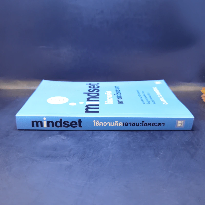 ใช้ความคิดเอาชนะโชคชะตา : Mindset - Carol S. Dweck (แครอล เอส ดเว็ค), Ph.D. รูปที่ 3