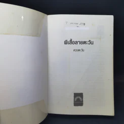ผีเสื้อลายตะวัน - ดวงตะวัน รูปที่ 8