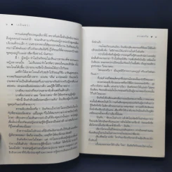เอลันตรา - ดวงตะวัน รูปที่ 11