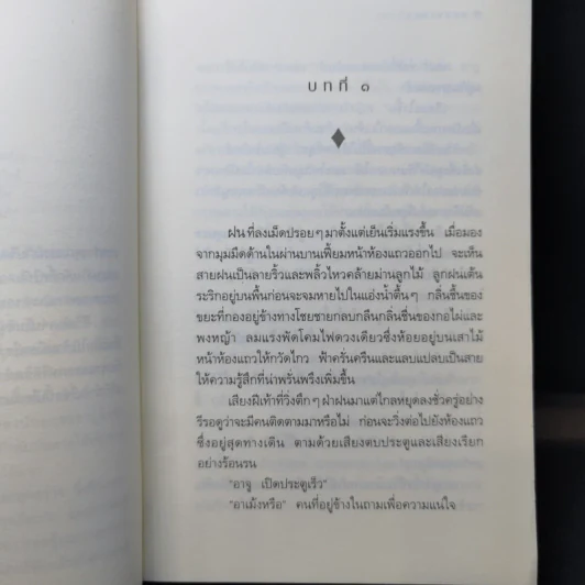กุหลาบจีน - ประภัสสร เสวิกุล รูปที่ 8