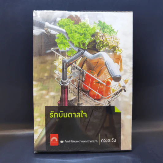 รักบันดาลใจ - ดวงตะวัน รูปที่ 1