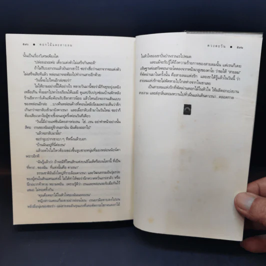 ดอกไม้และสายลม - ดวงตะวัน รูปที่ 12
