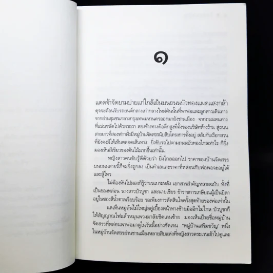 ในสวนขวัญ - ดวงตะวัน รูปที่ 9