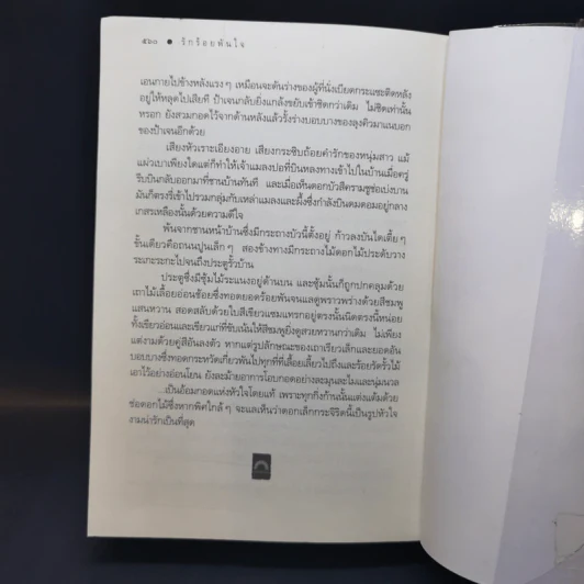 รักร้อยพันใจ - ดวงตะวัน รูปที่ 12