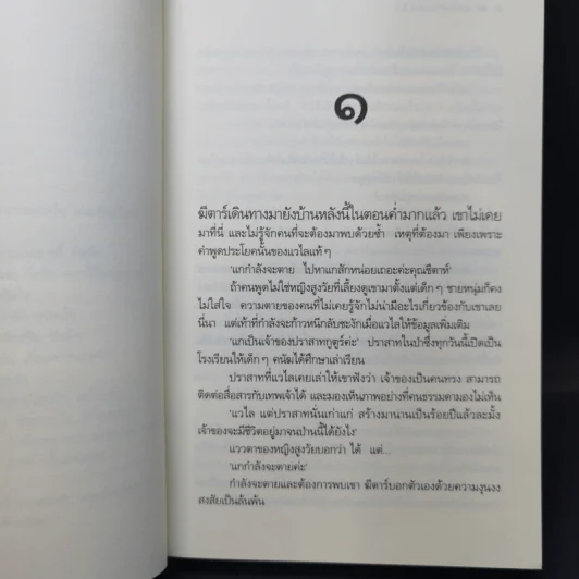 มรรคาแห่งรัก - ดวงตะวัน รูปที่ 10