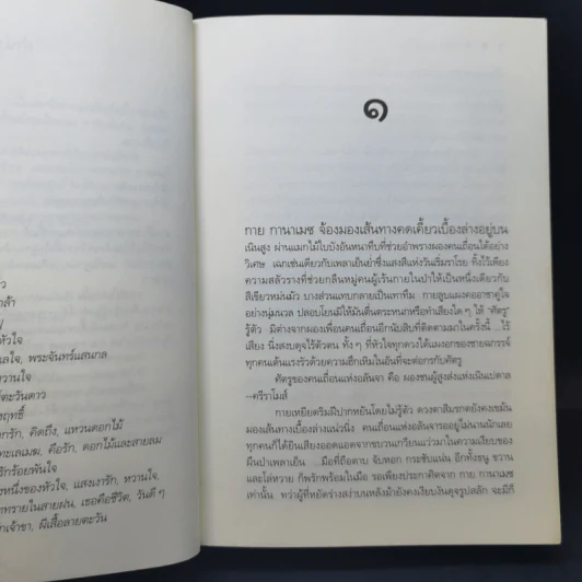 ผีเสื้อลายตะวัน - ดวงตะวัน รูปที่ 10