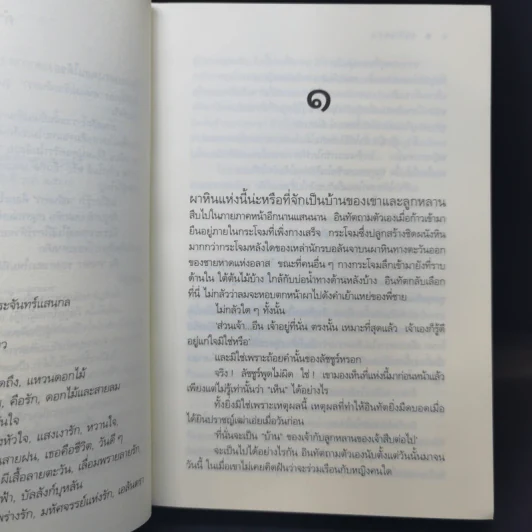 เอลันตรา - ดวงตะวัน รูปที่ 10