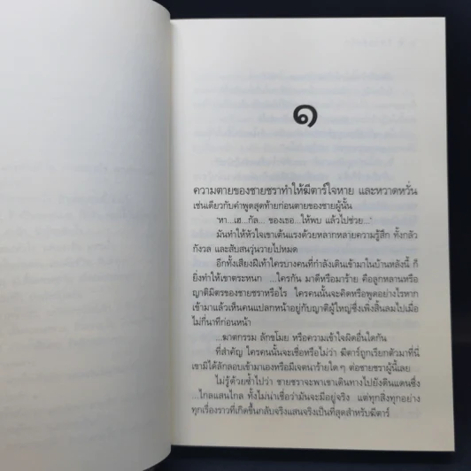 ทิพย์แห่งรัก - ดวงตะวัน รูปที่ 10