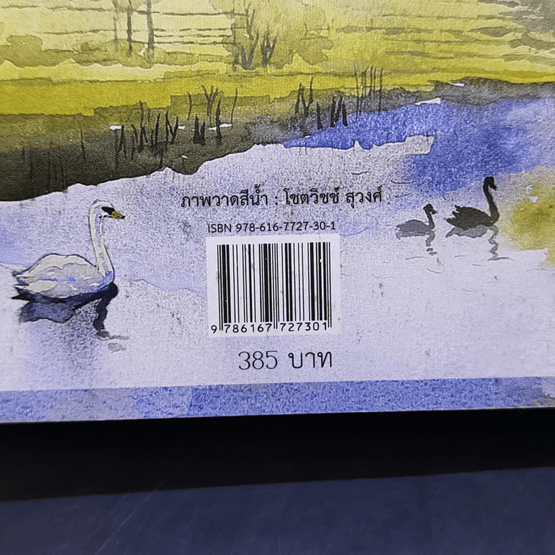 บ่วงหงส์ - กิ่งฉัตร รูปที่ 12