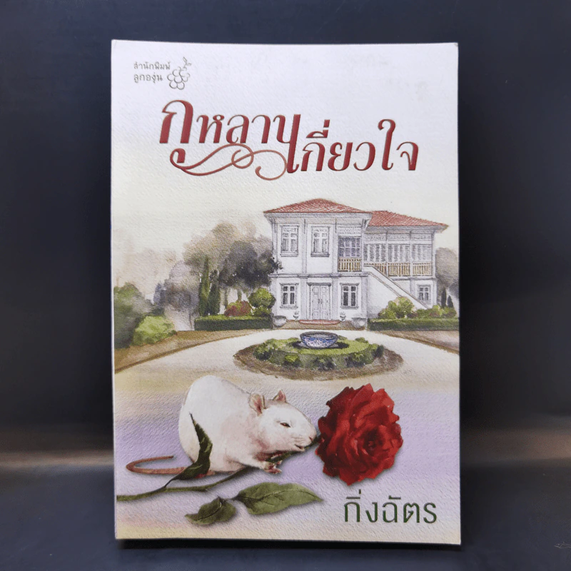 กุหลาบเกี่ยวใจ - กิ่งฉัตร รูปที่ 1