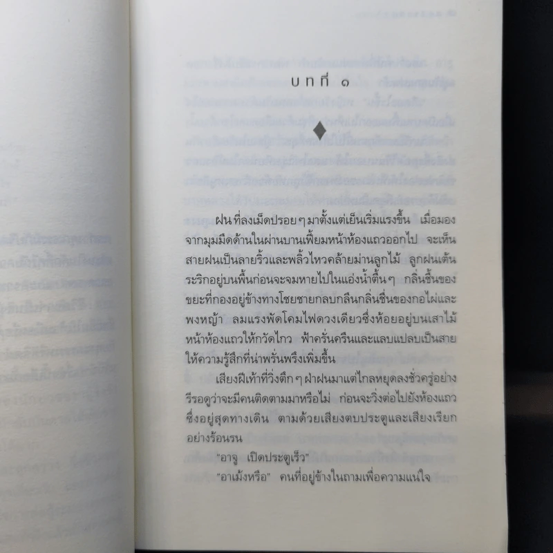 กุหลาบจีน - ประภัสสร เสวิกุล รูปที่ 8