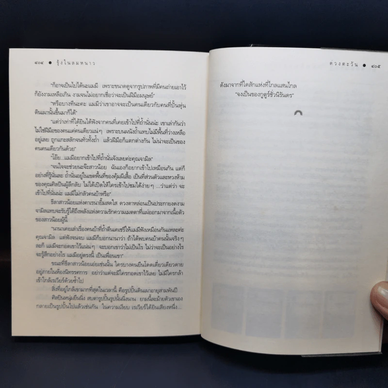 รุ้งในลมหนาว - ดวงตะวัน รูปที่ 11