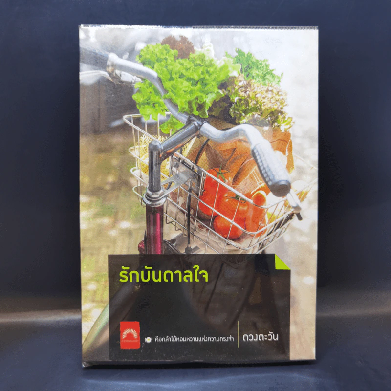 รักบันดาลใจ - ดวงตะวัน รูปที่ 1