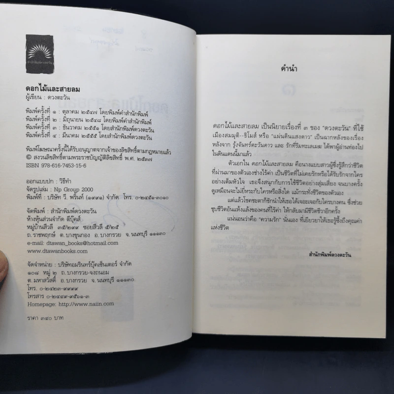 ดอกไม้และสายลม - ดวงตะวัน รูปที่ 9