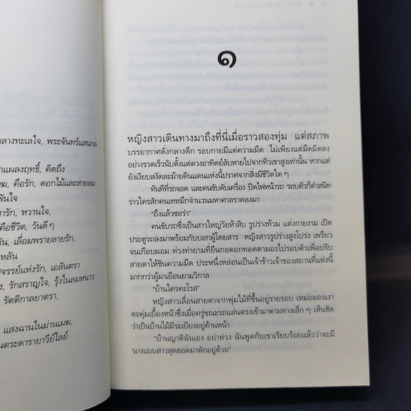 ดอกไม้และสายลม - ดวงตะวัน รูปที่ 10