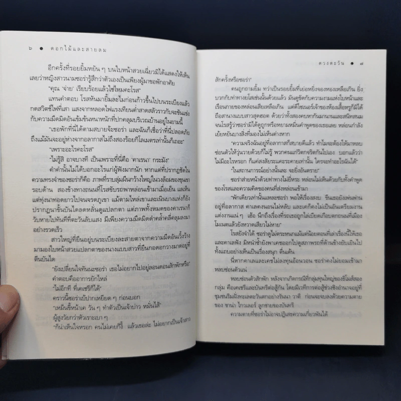 ดอกไม้และสายลม - ดวงตะวัน รูปที่ 11