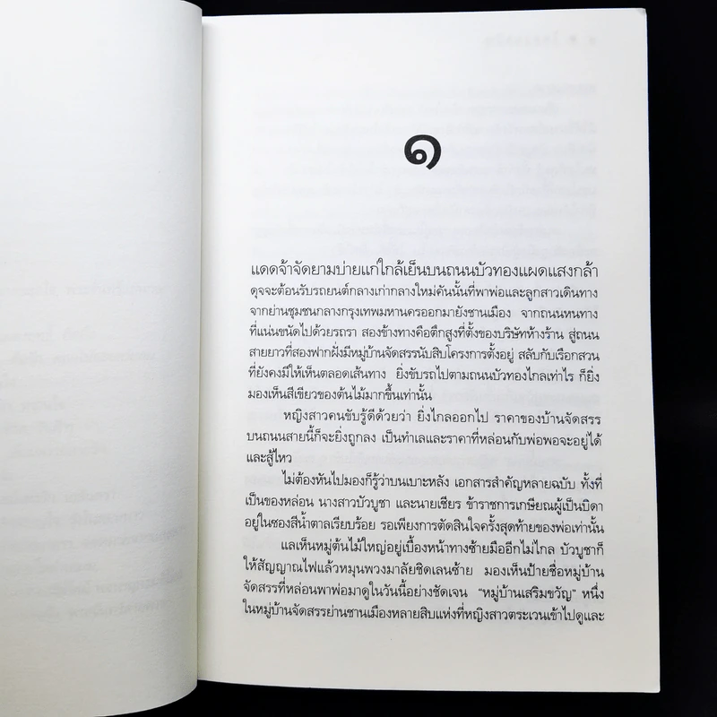 ในสวนขวัญ - ดวงตะวัน รูปที่ 9