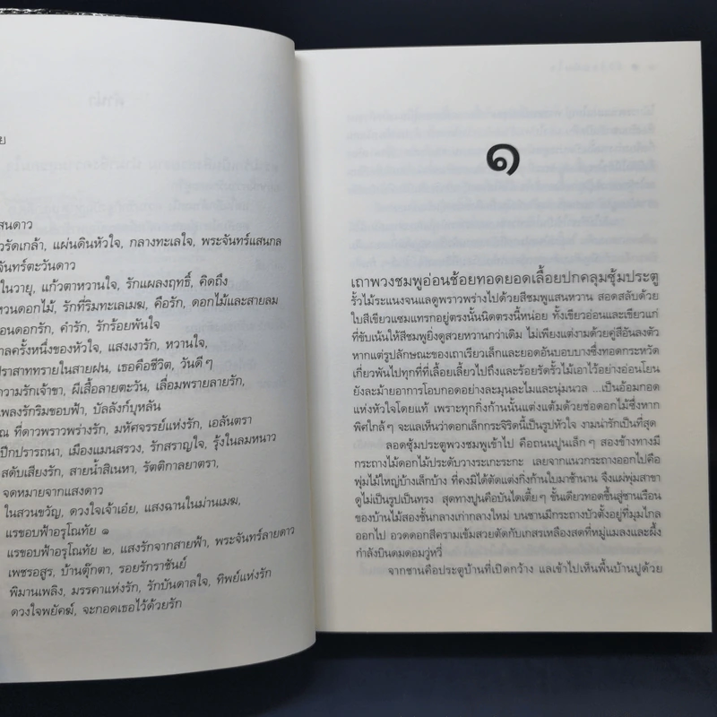 รักร้อยพันใจ - ดวงตะวัน รูปที่ 10